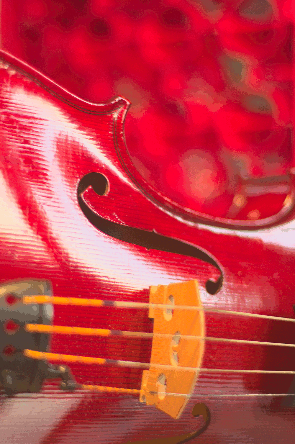 viola